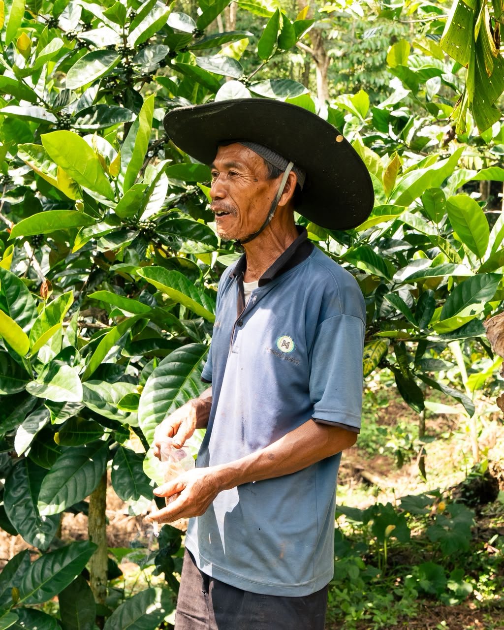 Kultur dan pengalaman kopi Whiteroom